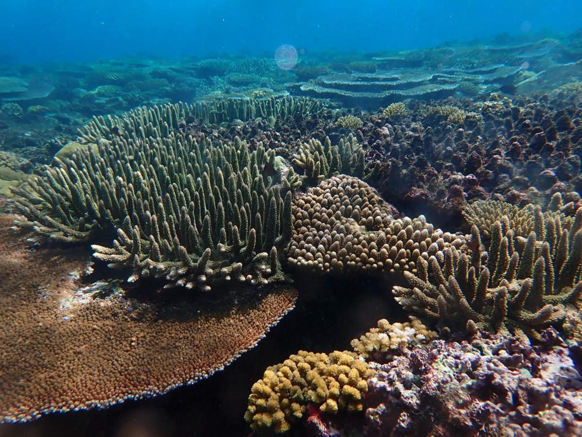 Fiji Lodge Vosa Ni Ua Savusavu Zewnętrze zdjęcie